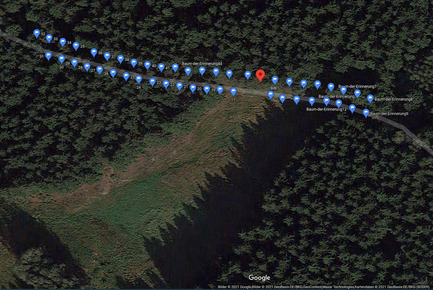 Baum der Erinnerung – Erinnerung in ihrer schönsten Form