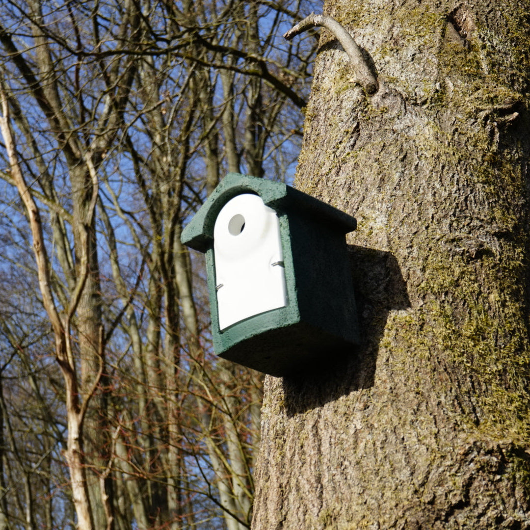 Nistkasten-Pate für bedrohte Singvögel