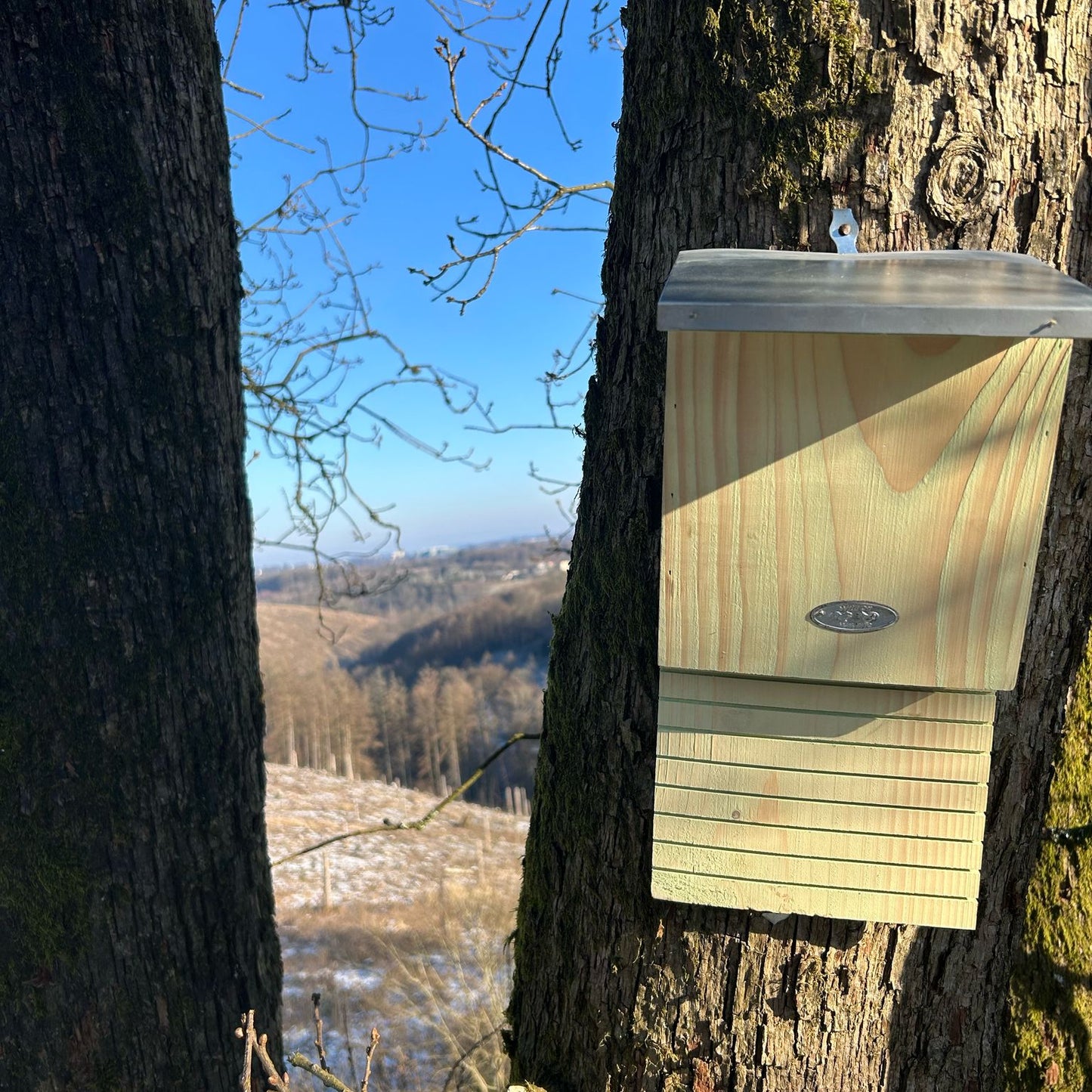 Fledermauskasten-Pate für gefährdete Jäger der Nacht
