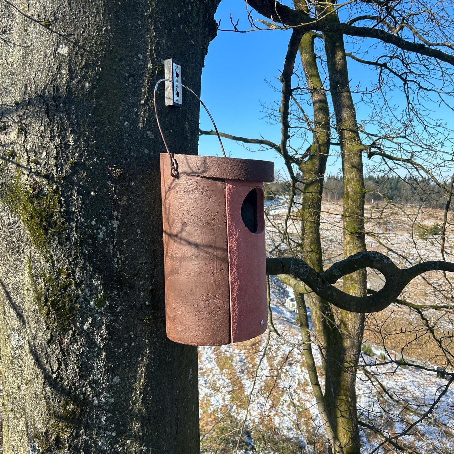 Eulenkasten-Pate für eine Eulenfamilie