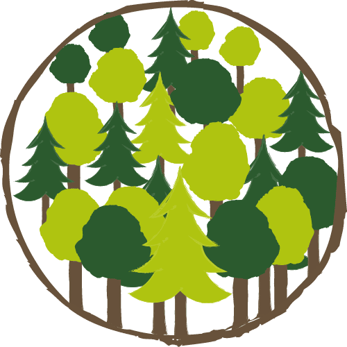 Zukunftswald Paket - 100 Bäume