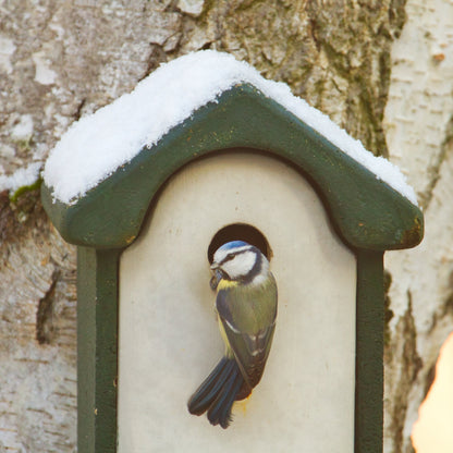 Nistkasten-Pate für bedrohte Singvögel