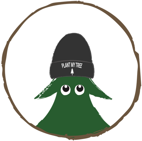 Beanie inklusive Baumpflanzung