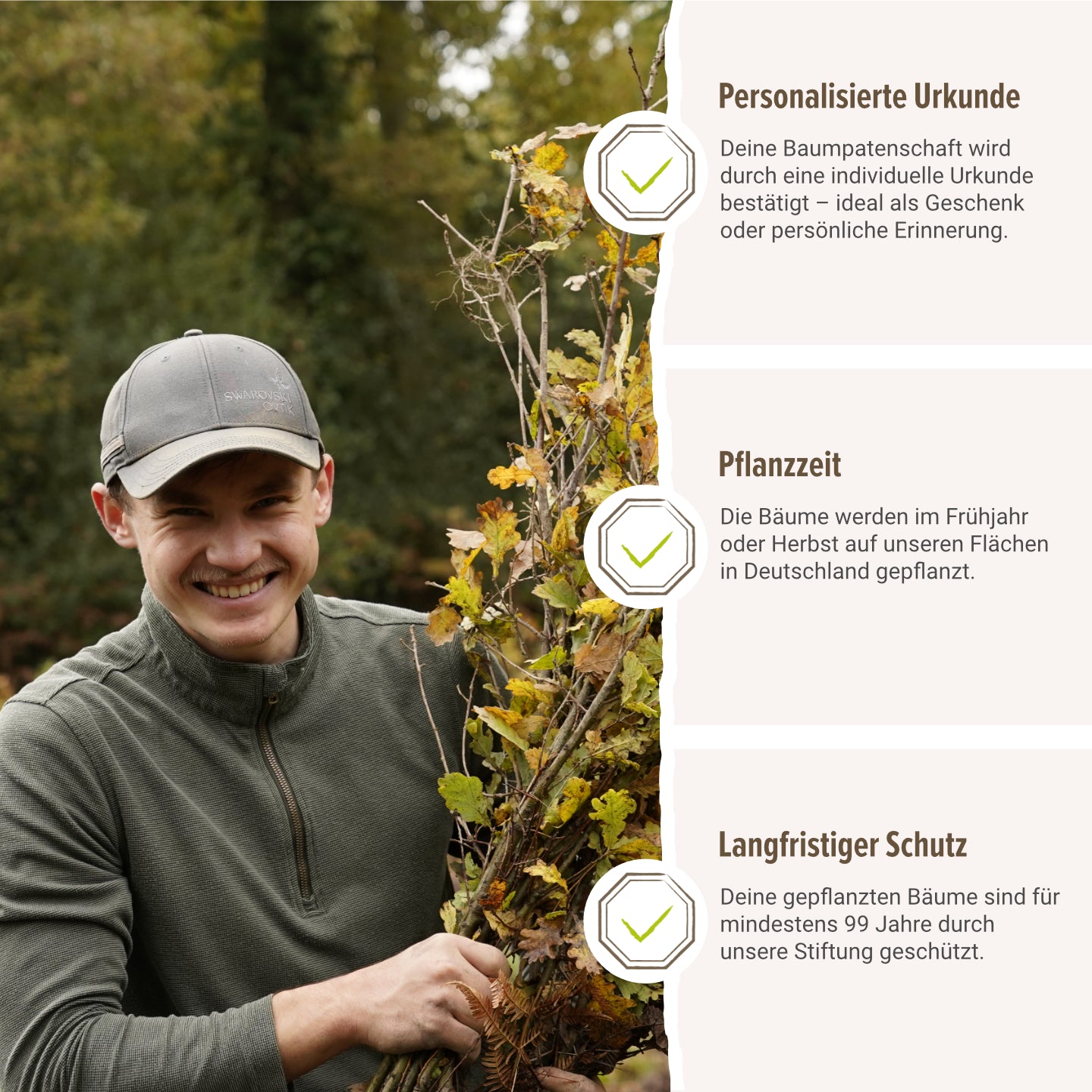 Esskastanie – Artenvielfalt und Nahrungsquelle in einem Baum