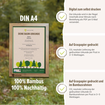 Miniwald Paket - 5 Bäume