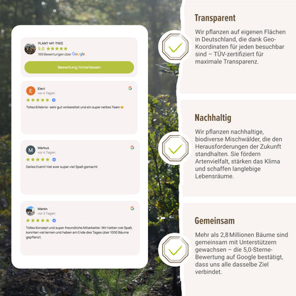 Esskastanie – Artenvielfalt und Nahrungsquelle in einem Baum