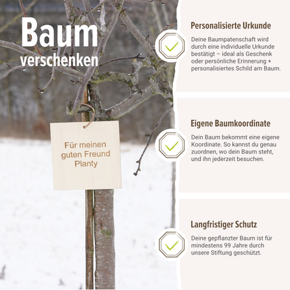 Baum der Erinnerung – Erinnerung in ihrer schönsten Form