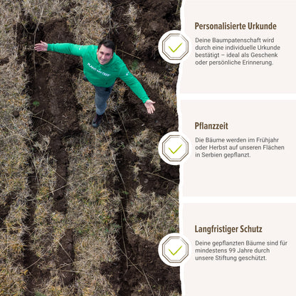 Der Umwelt-Booster - Dein Beitrag für Serbiens Wälder