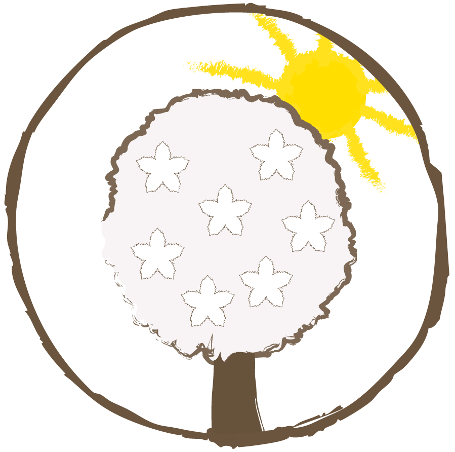 Vogelkirsche – Dein Sommerbaum für Bienen & Vögel