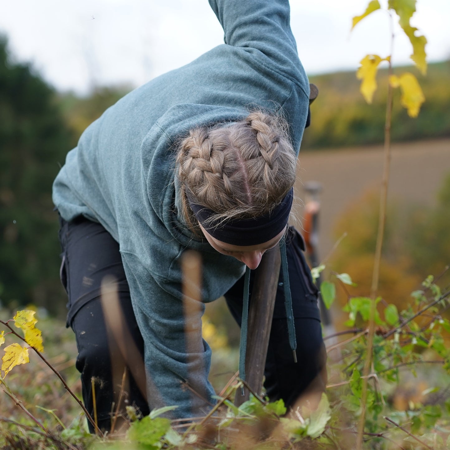 Klimaschutz-Beitrag für 1 Baum