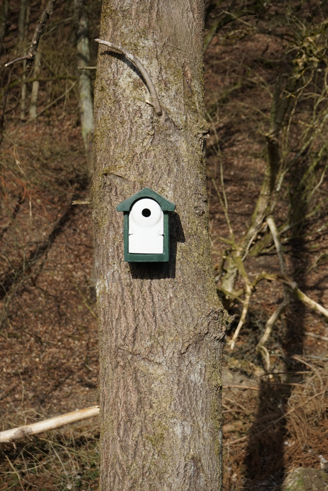 Nistkasten-Pate für eine Vogelfamilie