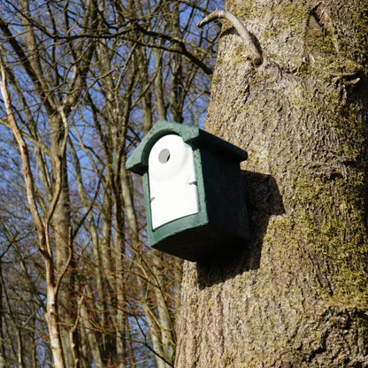 Nistkasten-Pate für bedrohte Singvögel