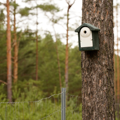 Nistkasten-Pate für bedrohte Singvögel