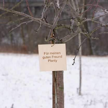 Baum der Erinnerung – Erinnerung in ihrer schönsten Form