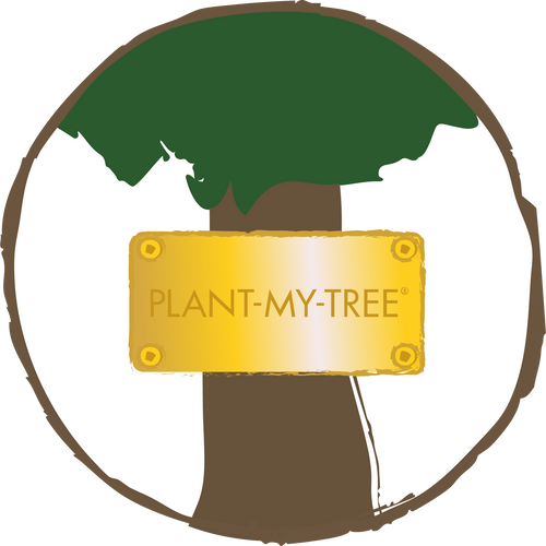 Baum der Erinnerung – Erinnerung in ihrer schönsten Form