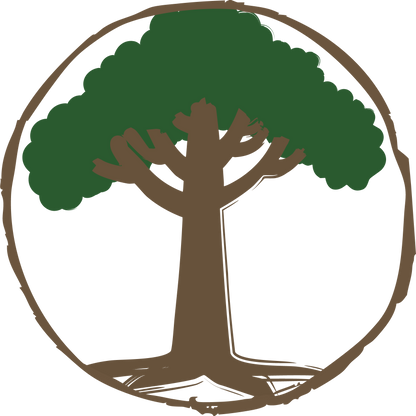 Mammutbaum – Der Riese fürs Klima