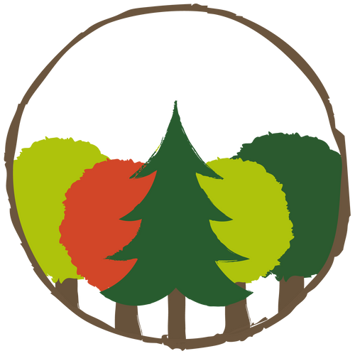 Mischwald Paket – 5 Bäume