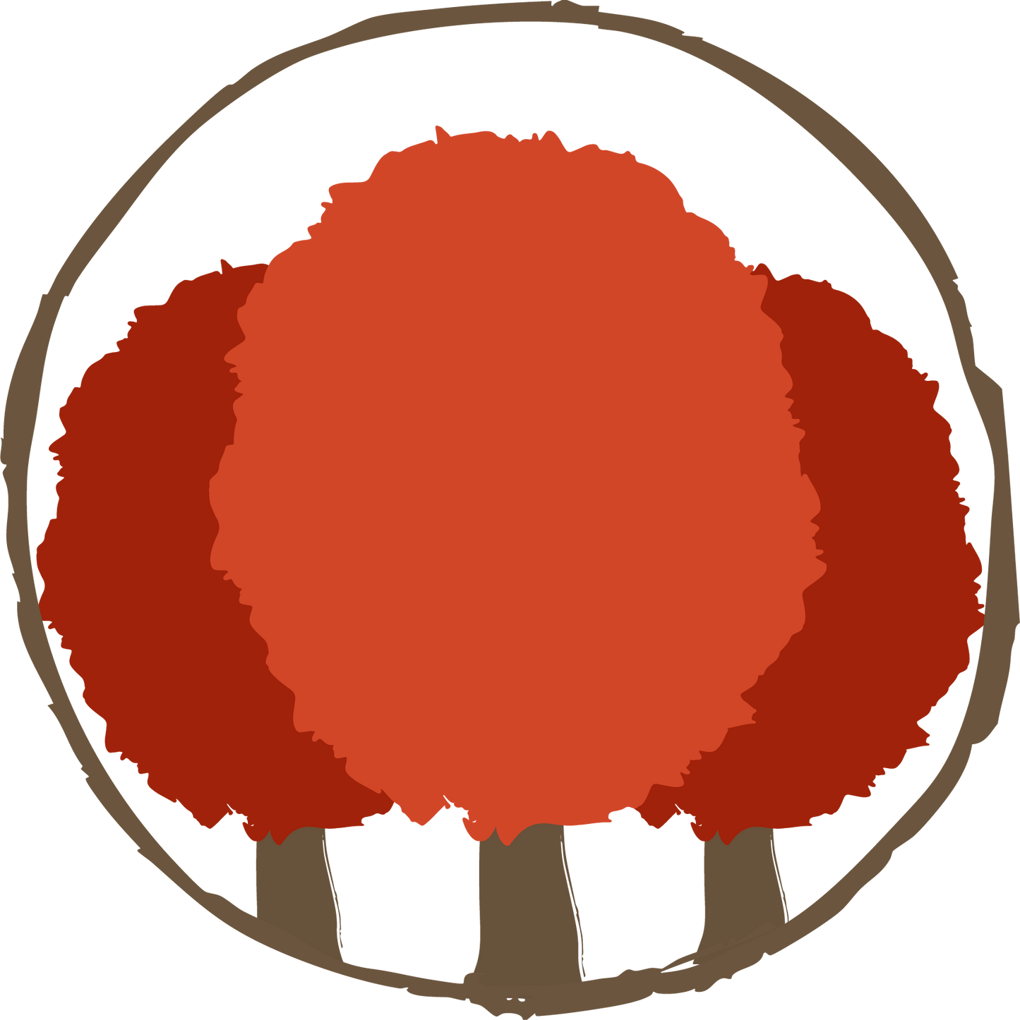 10 Roteichen – Baum des Jahres 2025