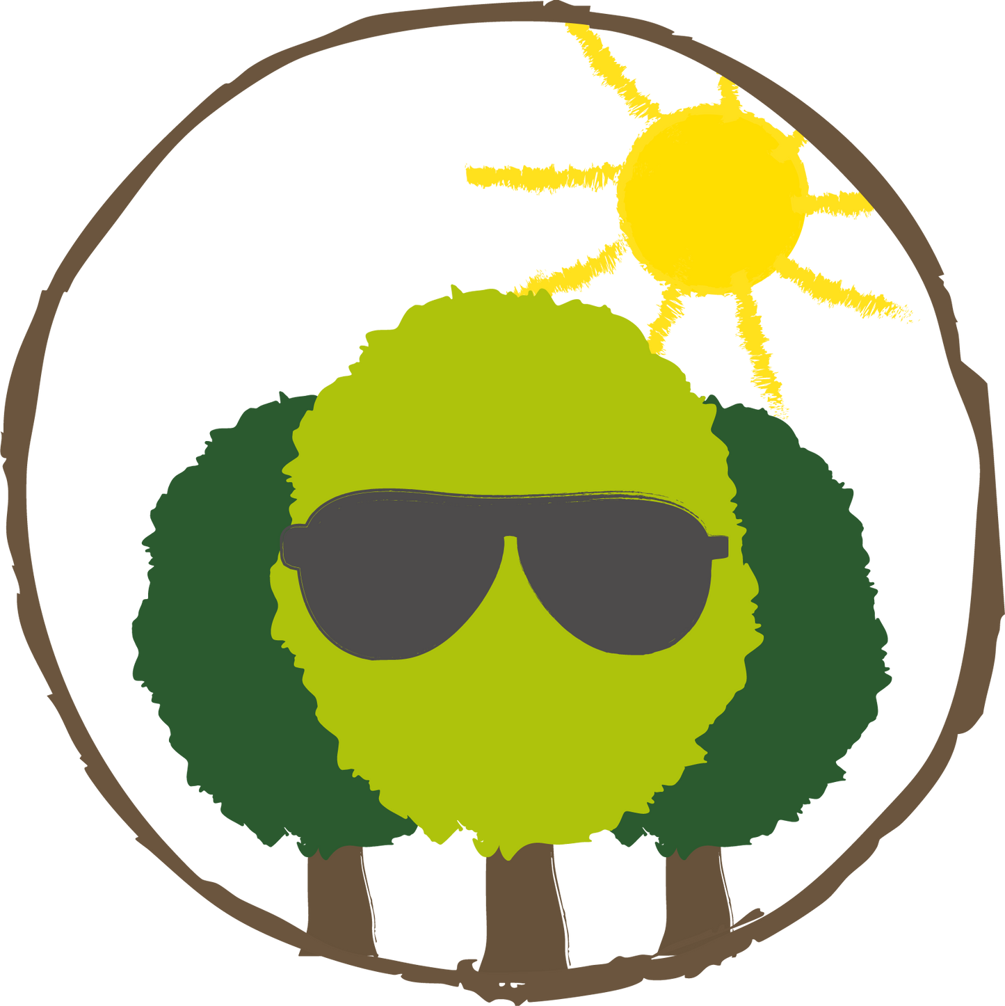 Sommer Paket – 5 Traubeneichen für trockene Zeiten