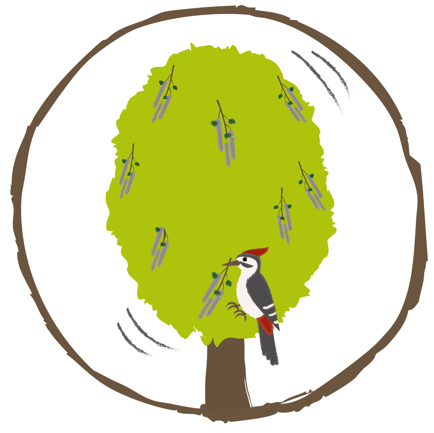 10 Zitterpappeln – Baum des Jahres 2026