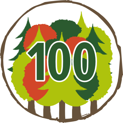 Zukunftswald Paket – 100 Bäume