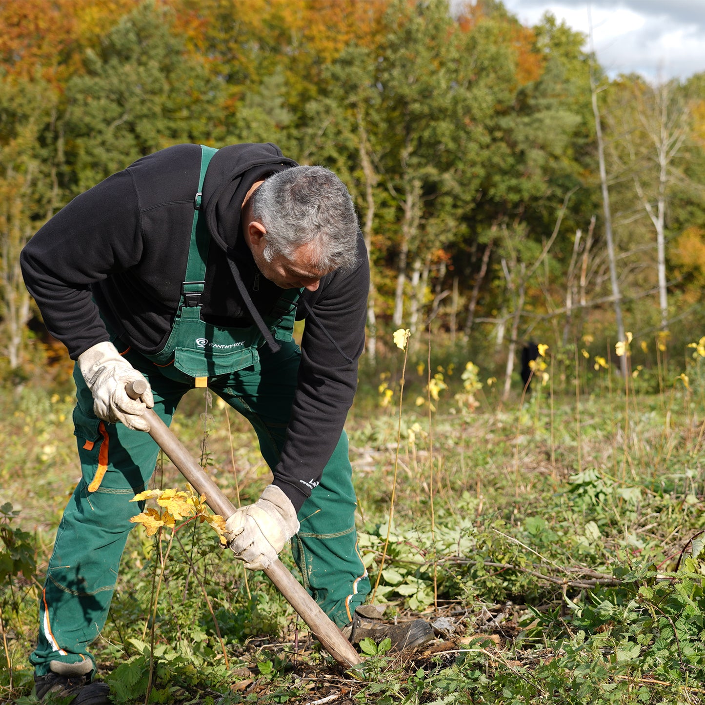 Climate protection contribution for 1 tree