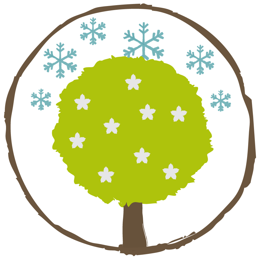 Winterlinde – Ein extrem langlebiger und robuster Baum