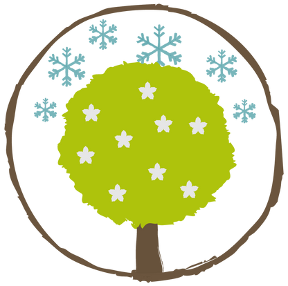 Winterlinde – Ein extrem langlebiger und robuster Baum