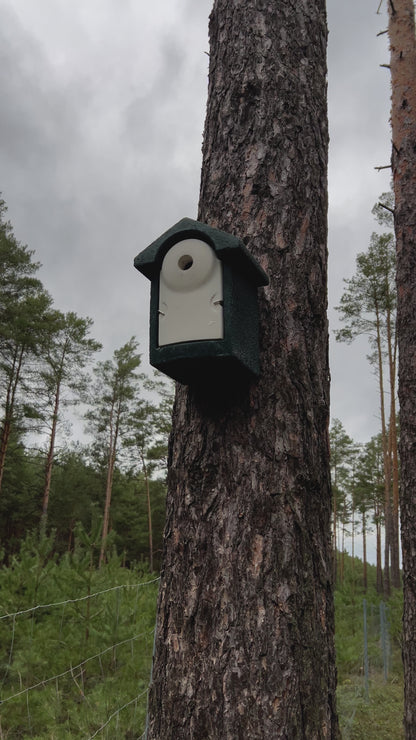 Nistkasten-Pate für eine Vogelfamilie